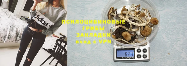 индика Куйбышев