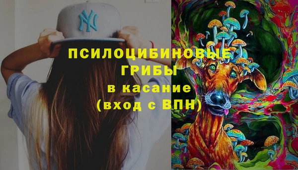 индика Куйбышев
