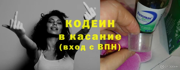 индика Куйбышев