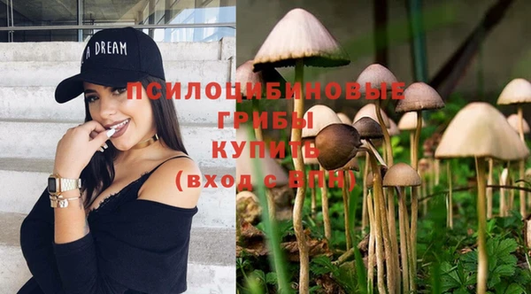 индика Куйбышев