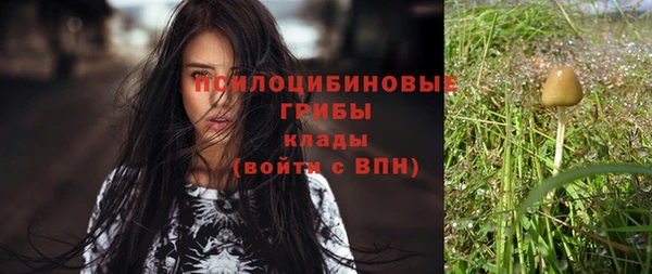 индика Куйбышев