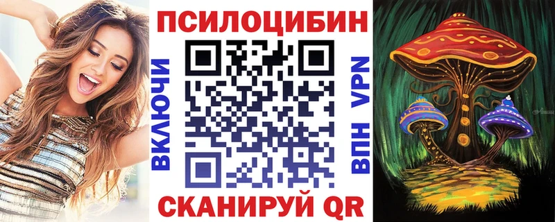 Купить где  Духовщина  Псилоцибиновые грибы Magic Shrooms 